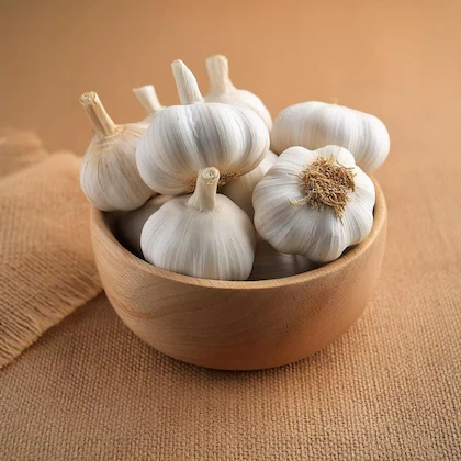 Garlic 2